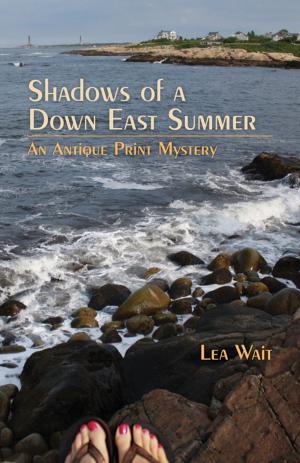 Cover of the book Shadows of a Down East Summer by Albert A, Bell, Jr.