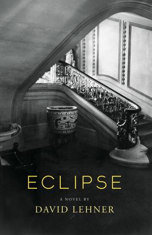 Cover of the book Eclipse by Cynthia Drew
