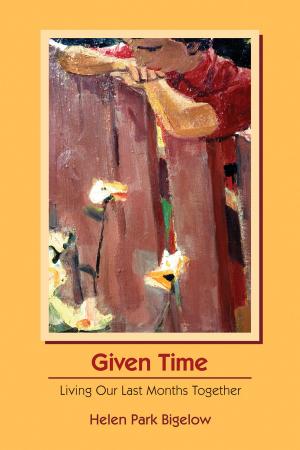 Cover of the book Given Time by Teresa Mei Chuc