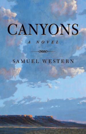 Cover of the book Canyons by Teresa Mei Chuc