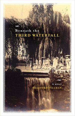 bigCover of the book Beneath The Third Waterfall by 