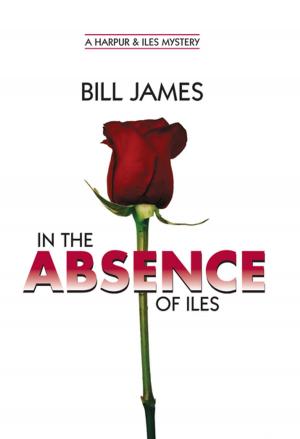 Cover of the book In the Absence of Iles (Vol. Book 25) by New York-New Jersey Trail Conference, Daniel Chazin