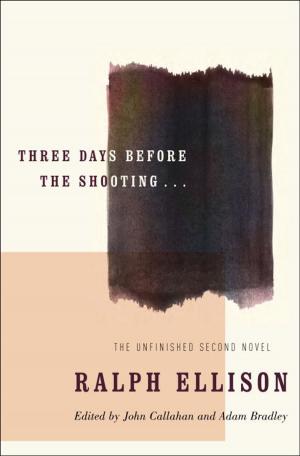 Book cover of Three Days Before the Shooting . . .