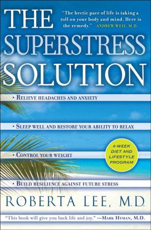 Cover of the book The SuperStress Solution by K. B. LeMere N.N.D.