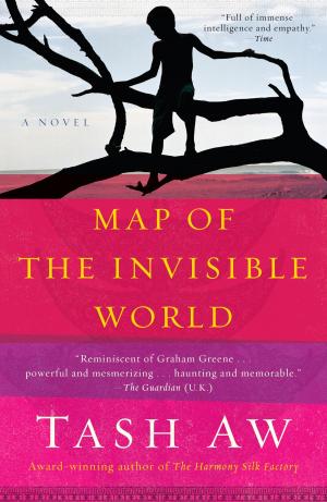Book cover of Map of the Invisible World
