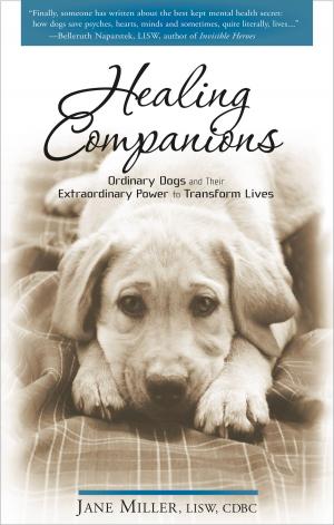 Cover of the book Healing Companions by David Robinson Simon