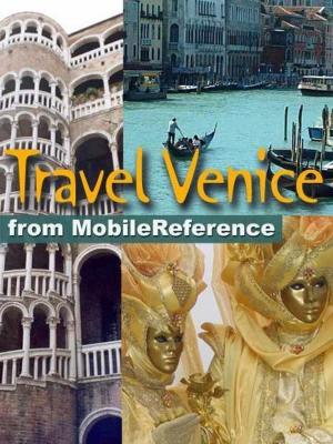 Book cover of Travel Venice, Italy: Illustrated City Guide, Phrasebook, And Maps (Mobi Travel)