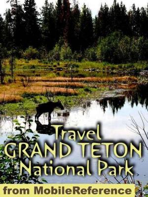 Cover of the book Travel Grand Teton National Park: Guide And Maps (Mobi Travel) by MobileReference