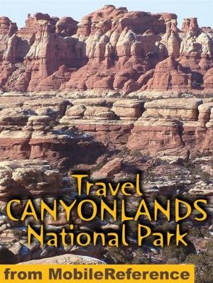 Cover of the book Travel Canyonlands National Park: Travel Guide And Maps (Mobi Travel) by Dante Alighieri, Henry Wadsworth Longfellow (Translator)