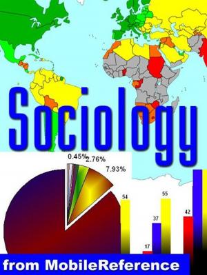 bigCover of the book Sociology Study Guide: Society, Culture, Socialization, Groups , Deviance And Norms, Sexuality, Organizational Behavior, Inequality, Institutions And Mass Media, Famous Sociologists (Mobi Study Guides) by 