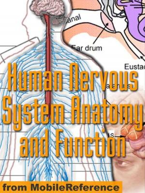Cover of Human Nervous System Anatomy And Function Study Guide (Mobi Medical)