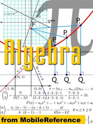 Book cover of Algebra Study Guide (Mobi Study Guides)