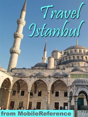 Book cover of Travel Istanbul, Turkey: Illustrated Guide, Phrasebook, And Maps (Mobi Travel)