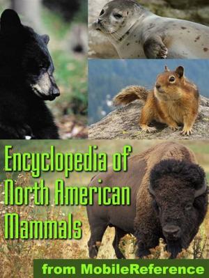 Book cover of The Illustrated Encyclopedia Of North American Mammals: A Comprehensive Guide To Mammals Of North America (Mobi Reference)
