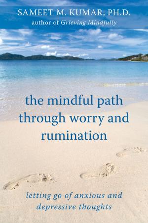 Book cover of The Mindful Path through Worry and Rumination