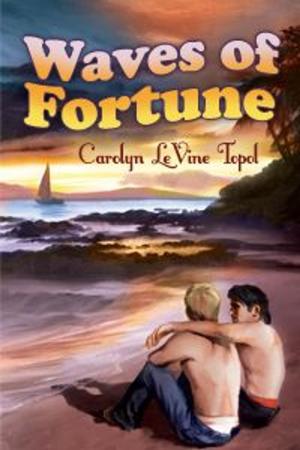 Cover of the book Waves Of Fortune by Andrew Grey