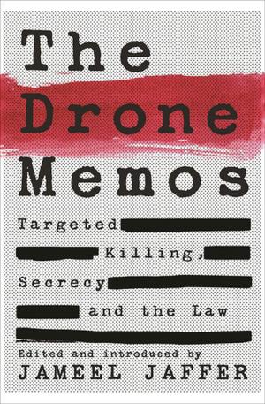 bigCover of the book The Drone Memos by 