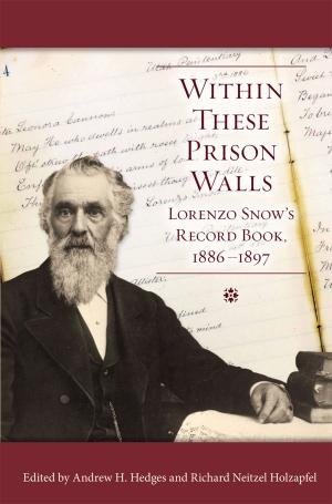 Cover of the book Within These Prison Walls by Richard Eyre