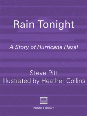 Cover of the book Rain Tonight by Heather Hartt-Sussman