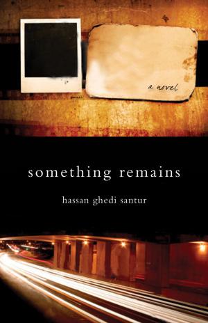 Cover of the book Something Remains by Mahtab Narsimhan