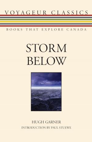 Cover of the book Storm Below by Hélène Rioux