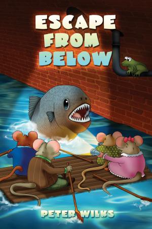 Cover of the book Escape from Below by Peter Widdows