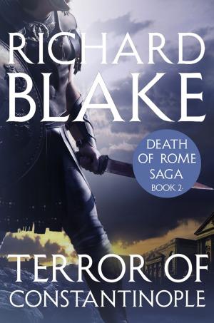 Cover of the book The Terror of Constantinople (Death of Rome Saga Book Two) by Captain Alexander Stewart, Cameron Stewart, Alexander Stewart