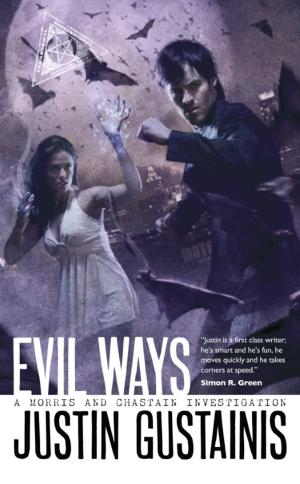 Cover of the book Evil Ways by Gail Z. Martin