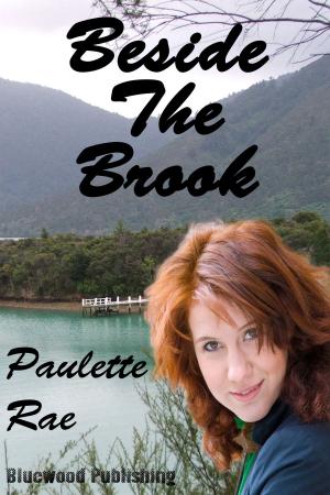 Cover of the book Beside The Brook by David Bowman