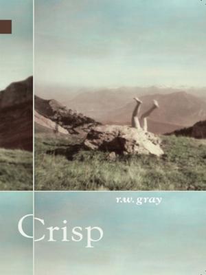 Cover of the book Crisp by Sarah de Leeuw