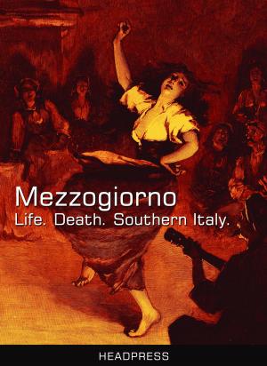 Book cover of Mezzogiorno