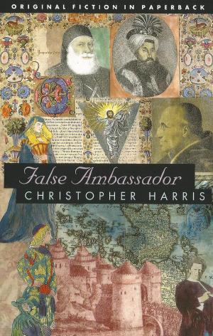 Cover of the book False Ambassador by Geoffrey Elborn