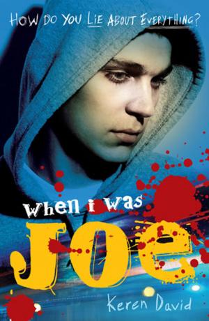 Book cover of When I Was Joe