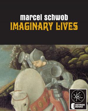 Book cover of Imaginary LIves