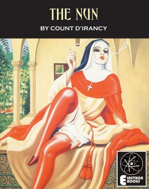 Cover of the book The Nun by Vixen Valdez