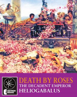 Cover of the book Death By Roses by Stephen Barber