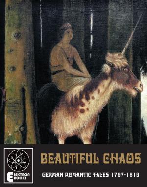 Cover of the book Beautiful Chaos by Simon Dwyer