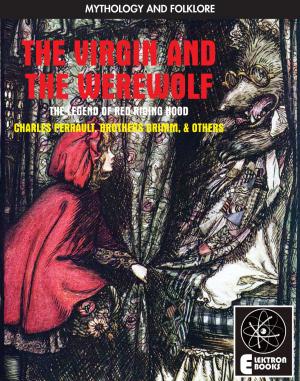 Cover of The Virgin And The Werewolf