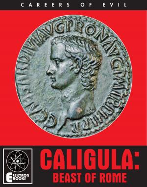 Cover of the book Caligula: Beast of Rome by Vixen Valdez