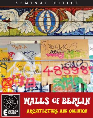 Cover of the book THE WALLS OF BERLIN by Georg Groddeck