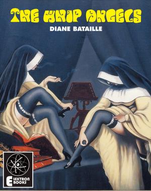 Cover of the book The Whip Angels by Ludivico Maria Sinistrari