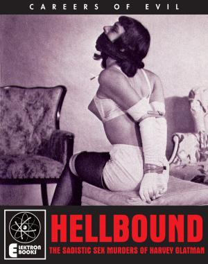 Cover of the book HELLBOUND by Stephen Barber