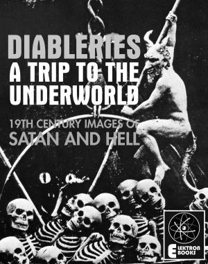 Cover of the book DIABLERIES by Stephen Barber