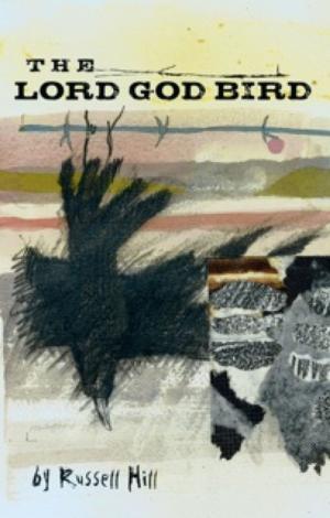 Cover of the book The Lord God Bird by Cheryl Brooks