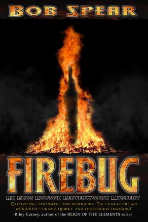 Cover of the book Firebug by Richard S. Levine