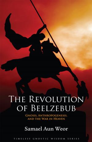 Cover of The Revolution of Beelzebub