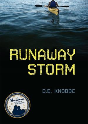 Cover of the book Runaway Storm by Tyler Enfield