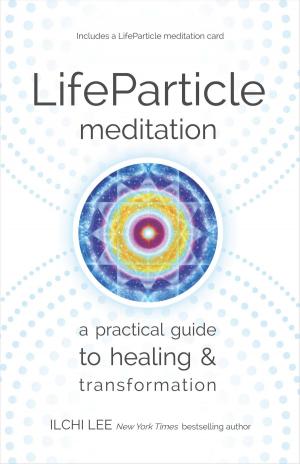 Book cover of LifeParticle Meditation