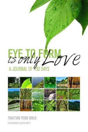 Book cover of Eye To Form Is Only Love
