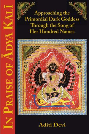 Cover of the book In Praise of Adya Kali by Nadir Baksh